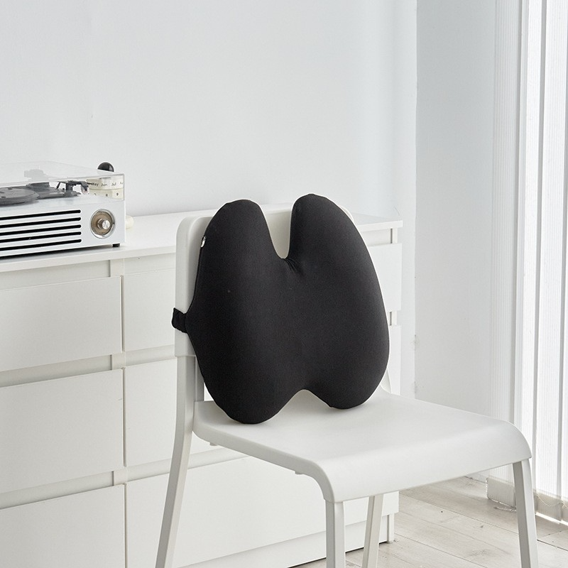Lumbar Support Pillow
