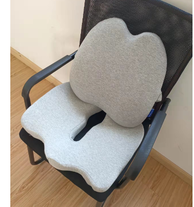 Lumbar Support Pillow