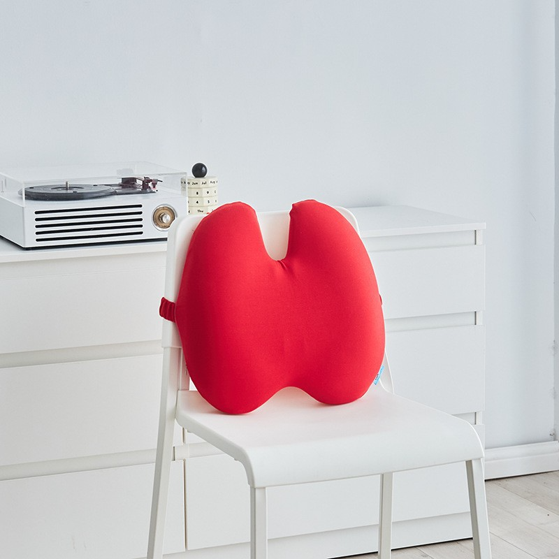 Lumbar Support Pillow