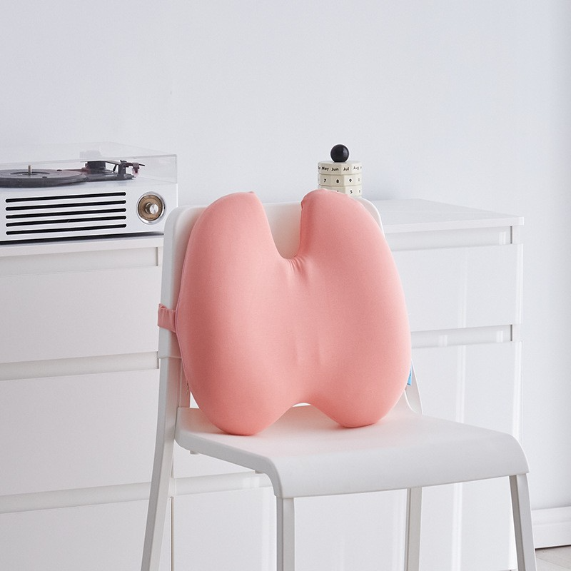 Lumbar Support Pillow